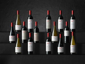 重磅 2015年份满分葛兰许领衔,2019 Penfolds 奔富 珍藏系列 全新年份葡萄酒正式亮相